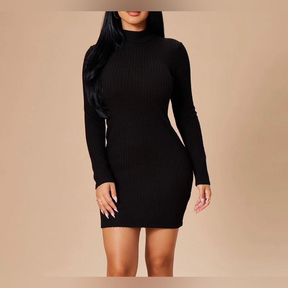 Fashion nova NWOT long sleeve mock neck dress